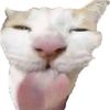 jewishzariphes
