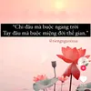 c0mchien91