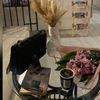 afrah_1655