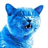 catsarecute6670