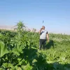 azzawi996