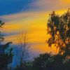 saddam_jutt5454