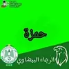 hamzaadnan33