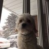 tristan_t_man