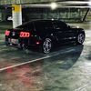 elstang_bruce