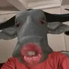 ratruongbanggioiikkkeke