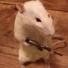 mouse_wit_da_gat