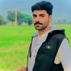 shareefshayan