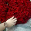 madna2323