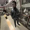 pastoraiden