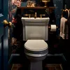 life_in_toilets