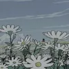 aliz_vk19