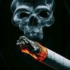 smoker2712