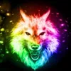 rainbow_firewolf