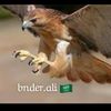 bnder.ali