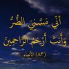 saud_228