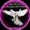 user559800742