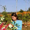 shweou022