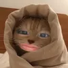 ban_vy_ok