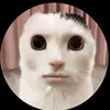 mohxsq