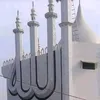 httpswww.tiktok.comdyd81