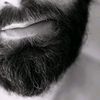 baarch