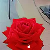 user.137205