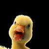 littleduck3629