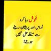 daniqureshi537