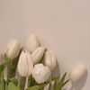 hawraar8_