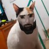 leveloperator
