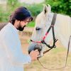 pashashb