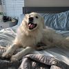 freyathepyr