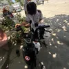 khongbiettinhyeu