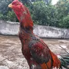 userssyo7zehcx