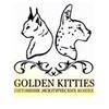 golden_kitties