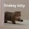 rng_mr.kitty