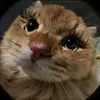 elizeslay