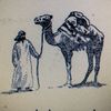 thetiredbedouin