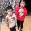 dng.hng0258