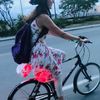 bricycles