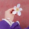 salma.osama564