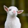 user47bqvn6uen