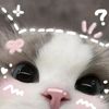 _nisaaaaaa07
