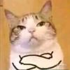 whaponce