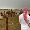عَــبسي