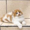 babu.meong123