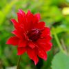 vinu3444