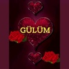 gulum_054