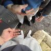 oliedonkey